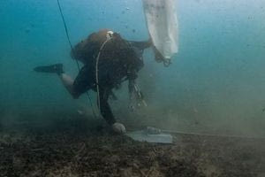 “Posidonia Oceanica: Do Not Disturb”: Μια βουτιά πιο κοντά στην προστασία των λιβαδιών Ποσειδωνίας