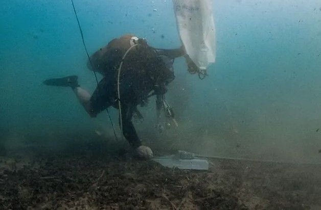 “Posidonia Oceanica: Do Not Disturb”: Μια βουτιά πιο κοντά στην προστασία των λιβαδιών Ποσειδωνίας