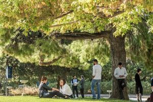Τα ελληνικά πανεπιστήμια που επενδύουν σε “πράσινα” campuses